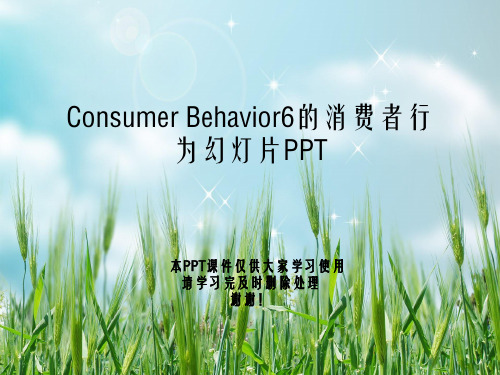 Consumer Behavior6的消费者行为幻灯片PPT