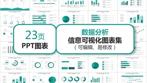 23页数据分析信息可视化图表PPT模板