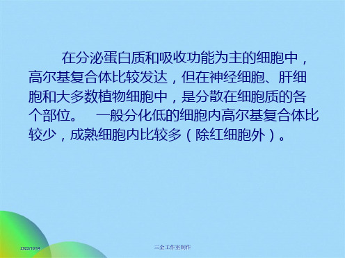 细胞核超微结构(共142张PPT)