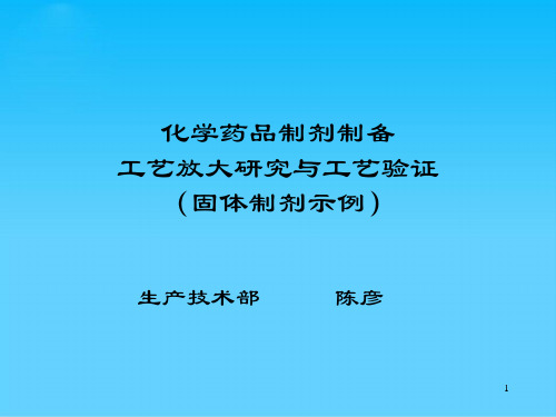 化学药品制剂制备工艺放大与验证研究(doc 92页)