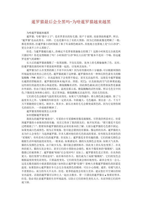 暹罗猫最后会全黑吗-为啥暹罗猫越来越黑