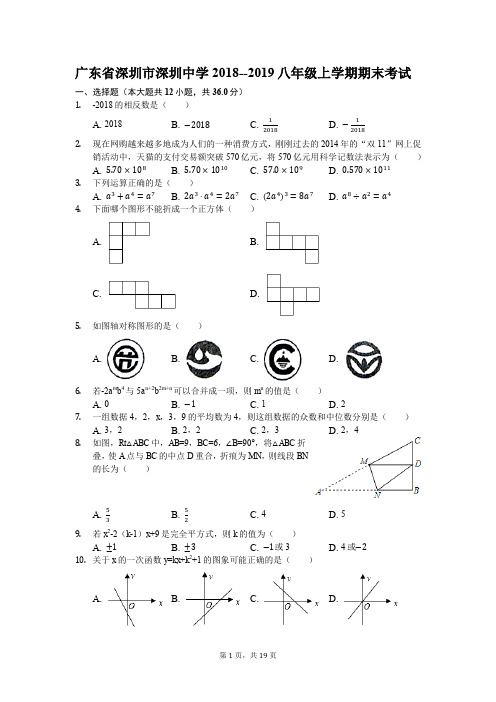 广东省深圳市深圳中学2018--2019八年级上学期期末考试