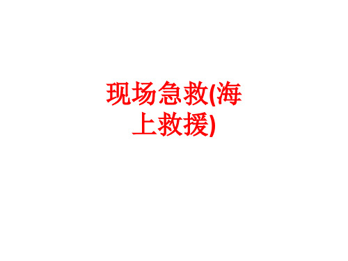 [课件]现场急救(海上救援)PPT