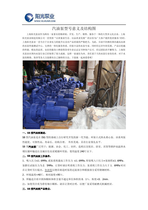 汽油泵型号意义及结构图