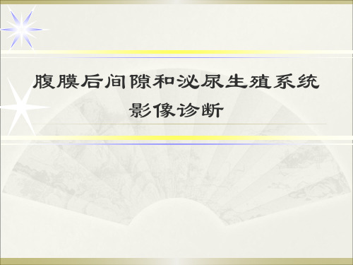 腹膜后间隙和泌尿生殖系统影像诊断课件