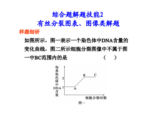 有丝分裂图表、图像类解题