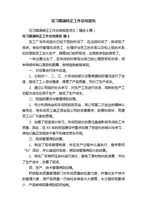 见习期满转正工作总结报告