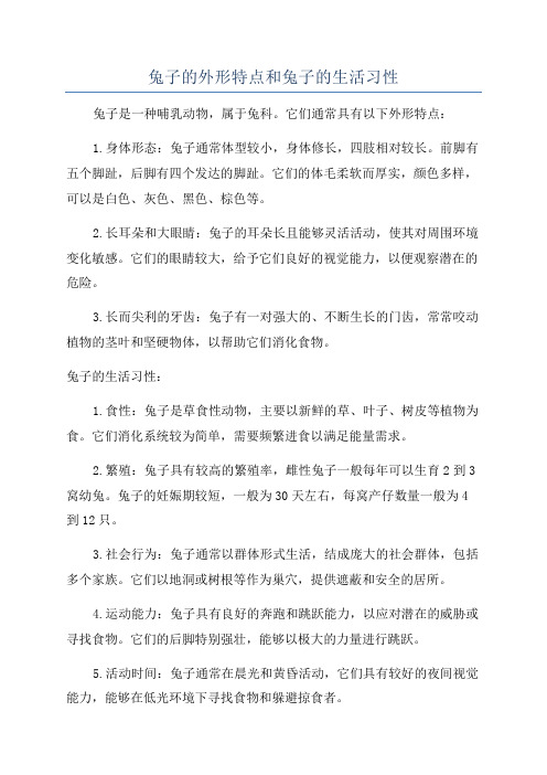 兔子的外形特点和兔子的生活习性