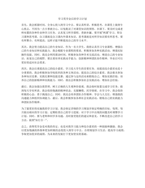 学习奖学金后的学习计划