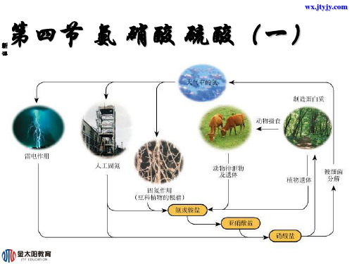 14441《氨》课件(新人教版必修1)