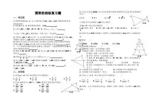 北师大版九年级数学(上)图形相似复习题集完整版.doc