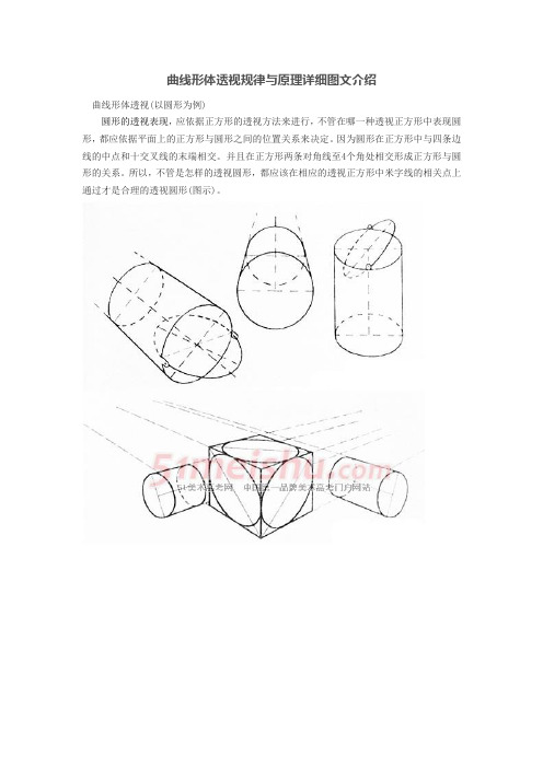 曲线形体透视规律与原理详细图文介绍