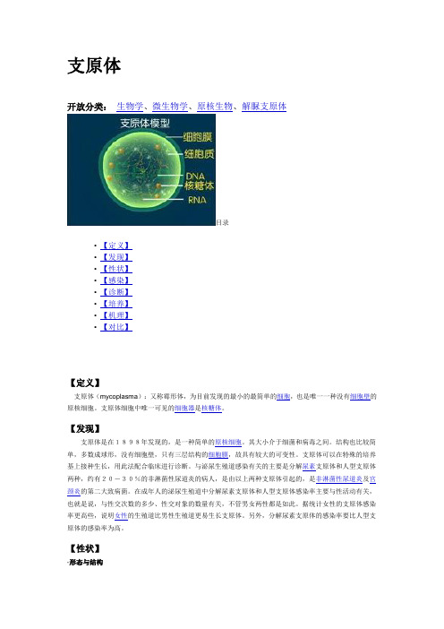 支原体