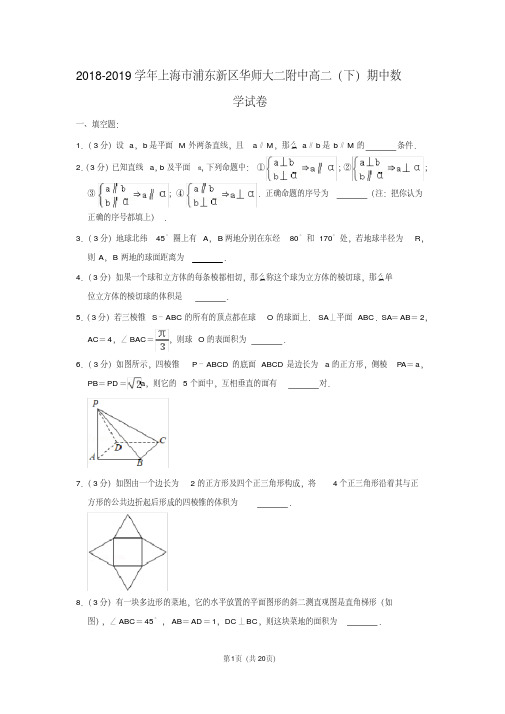 2018-2019学年上海市浦东新区华师大二附中高二(下)期中数学试卷