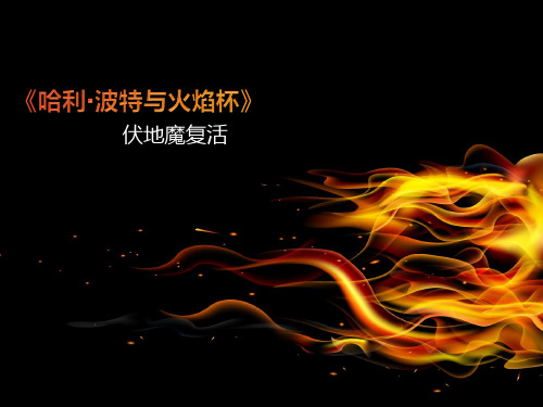 《哈利·波特与火焰杯》