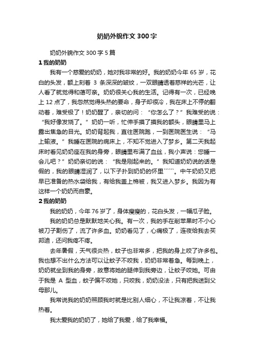 奶奶外貌作文300字5篇