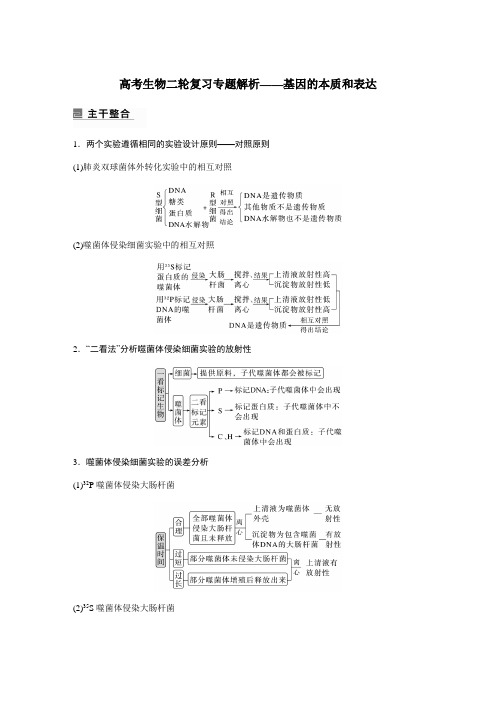 高考生物二轮复习专题解析——基因的本质和表达