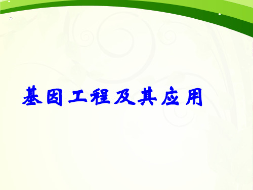 高中生物人教课标版必修2基因工程及其应用 最新公开课优秀PPT