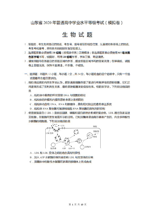 山东省2020年普通高中生物学业水平等级考(5月模拟卷及参考答案)