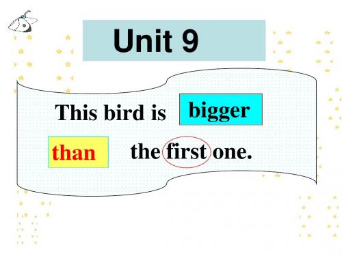 湘少版6年级UNIT9This_bird_is_bigger_than_the_first_one