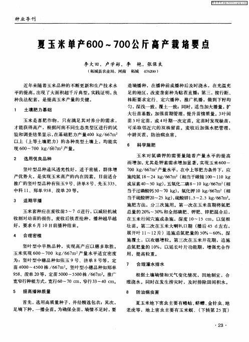 夏玉米单产600-700公斤高产栽培要点