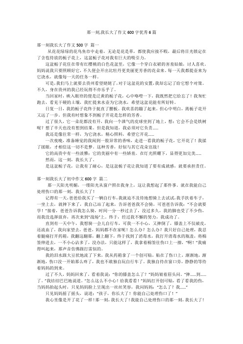 那一刻,我长大了作文600字优秀6篇