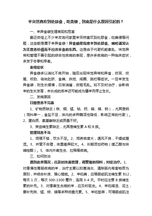 羊突然喜欢到处舔食，吃粪便，到底是什么原因引起的？