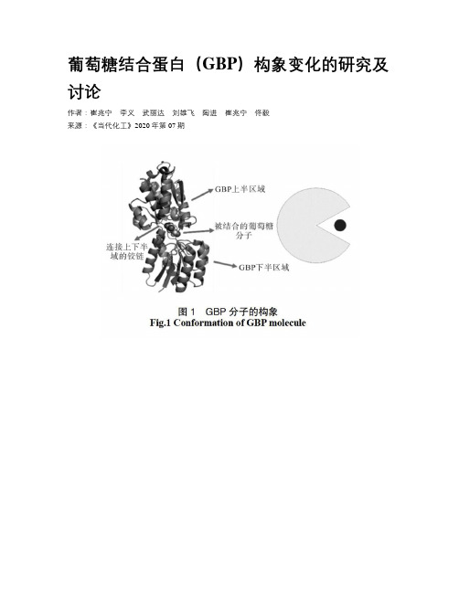 葡萄糖结合蛋白(GBP)构象变化的研究及讨论