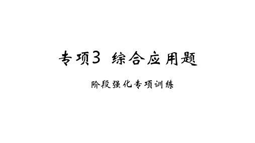 期末提分专项3+综合应用题+专项4+中考新动向专练课件+2023-2024学年人教版物理八年级上册