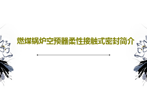 燃煤锅炉空预器柔性接触式密封简介共30页文档