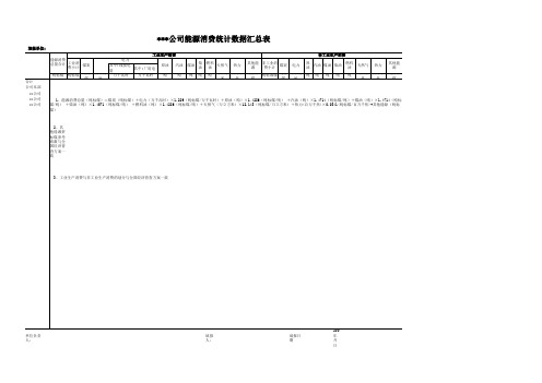 公司经济普查基本单位及能源消费汇总表