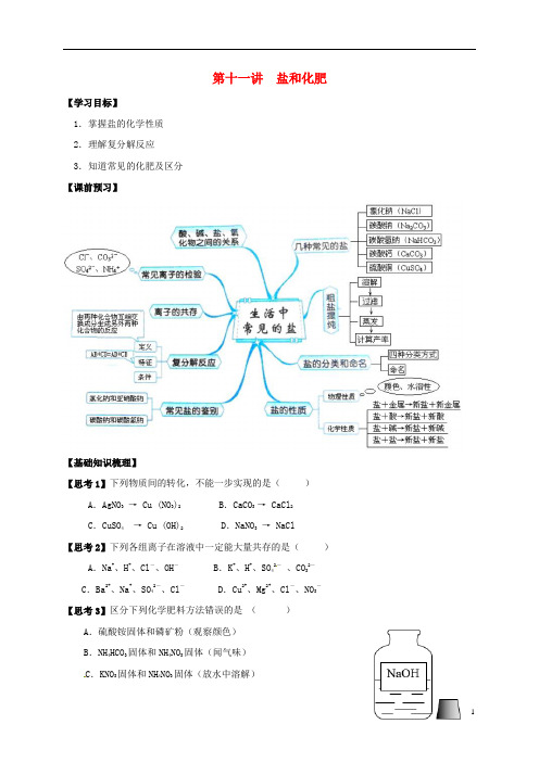 江苏省南通市海安县中考化学复习第十一讲盐和化肥学案