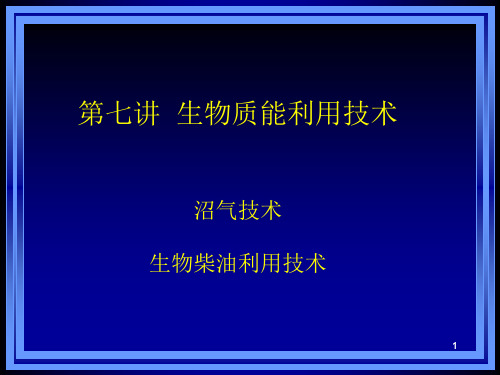 第七讲  生物质能.ppt