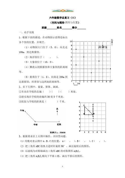 苏教版六年级图形与位置总复习题5.doc