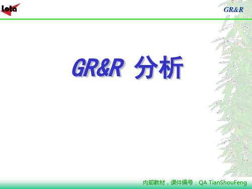 GRR培训-完整版教程