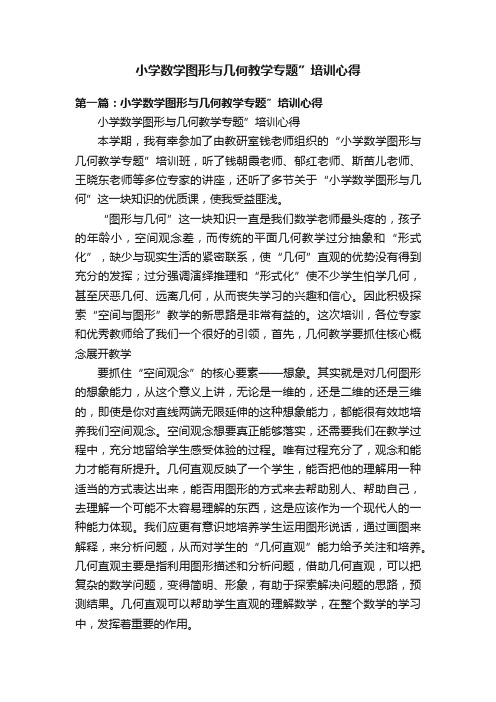 小学数学图形与几何教学专题”培训心得