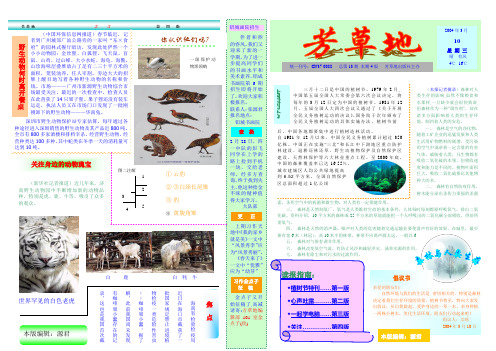 学生Word电子报刊制作