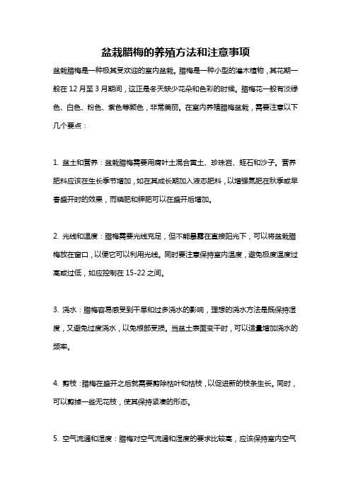 盆栽腊梅的养殖方法和注意事项