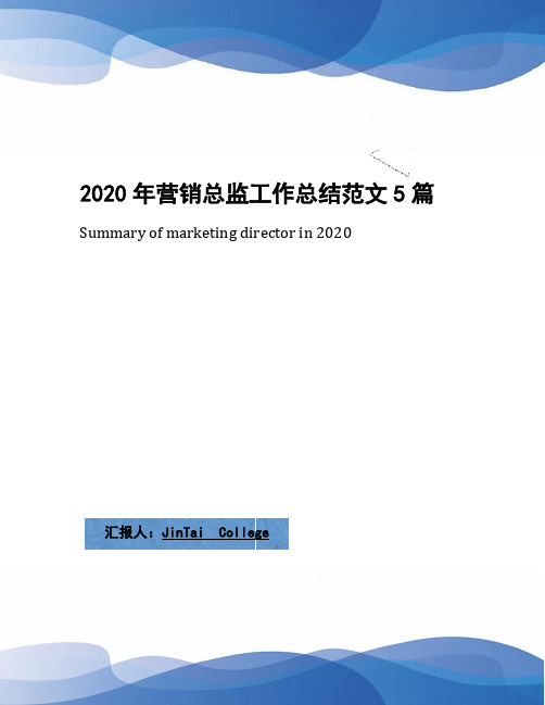 2020年营销总监工作总结范文5篇