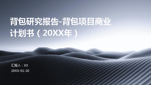 背包研究报告-背包项目商业计划书(2024年)