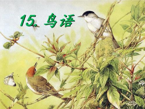 《鸟语》课件
