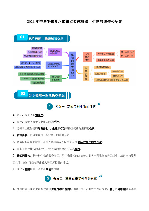 2024年中考生物复习知识点专题总结—生物的遗传和变异