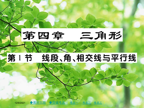 中考数学总复习 第四章 三角形 第1节 角、相交线和平行线课件