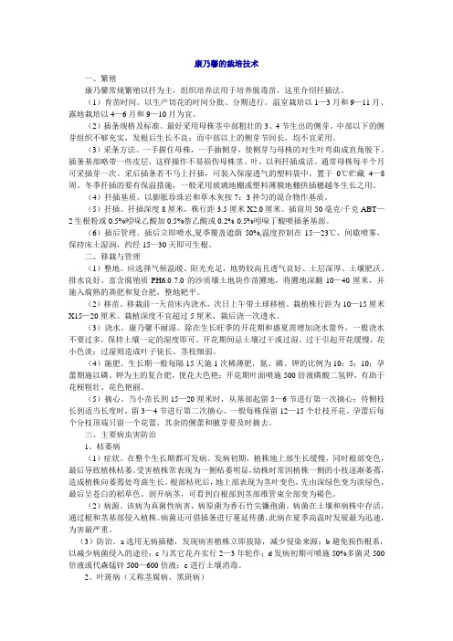 康乃馨栽培技术