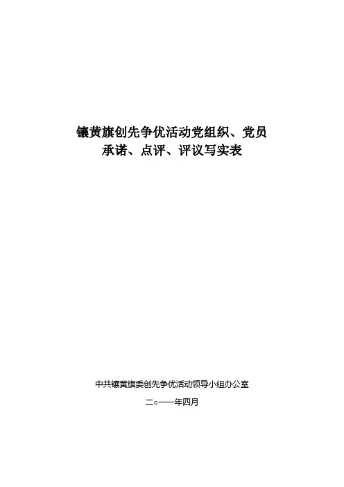 承诺践诺、领导点评、群众评议写实表