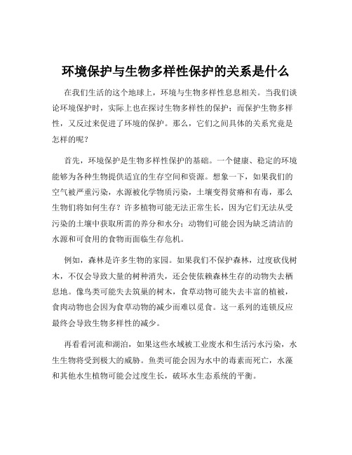 环境保护与生物多样性保护的关系是什么