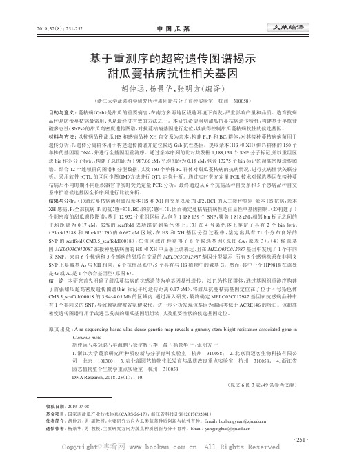 基于重测序的超密遗传图谱揭示甜瓜蔓枯病抗性相关基因