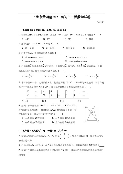 2021届黄浦区中考数学一模(含答案)