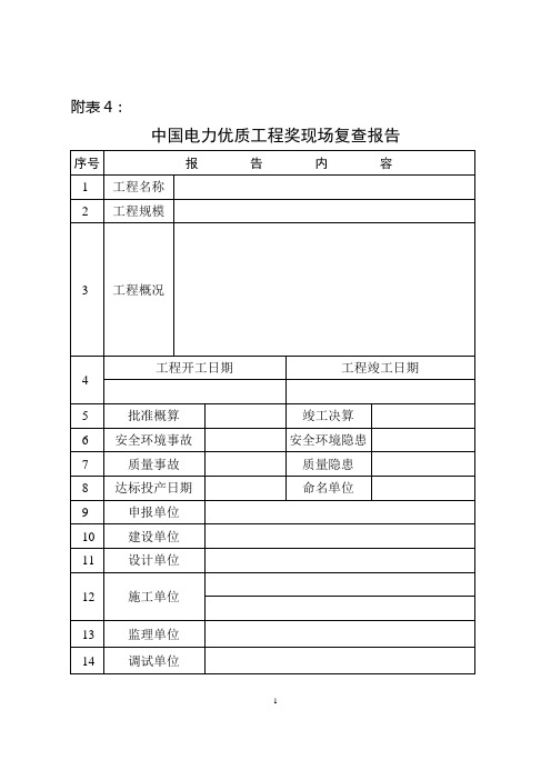 中国电力优质工程复查报告(2010年)