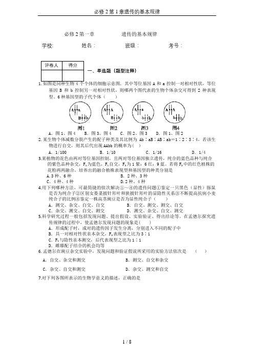 必修2第1章遗传的基本规律